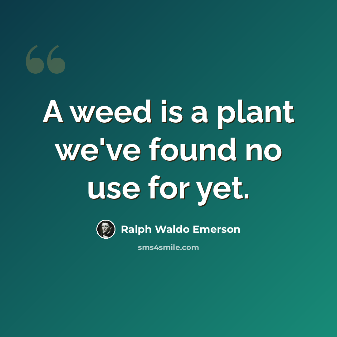 “A weed is a plant we've found no use for yet.” quote by Ralph Waldo Emerson