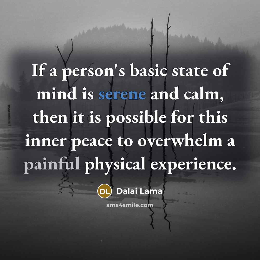 “If a person's basic state of mind is serene and calm, then it is possible for this inner peace to overwhelm a painful physical experience.” quote by Dalai Lama
