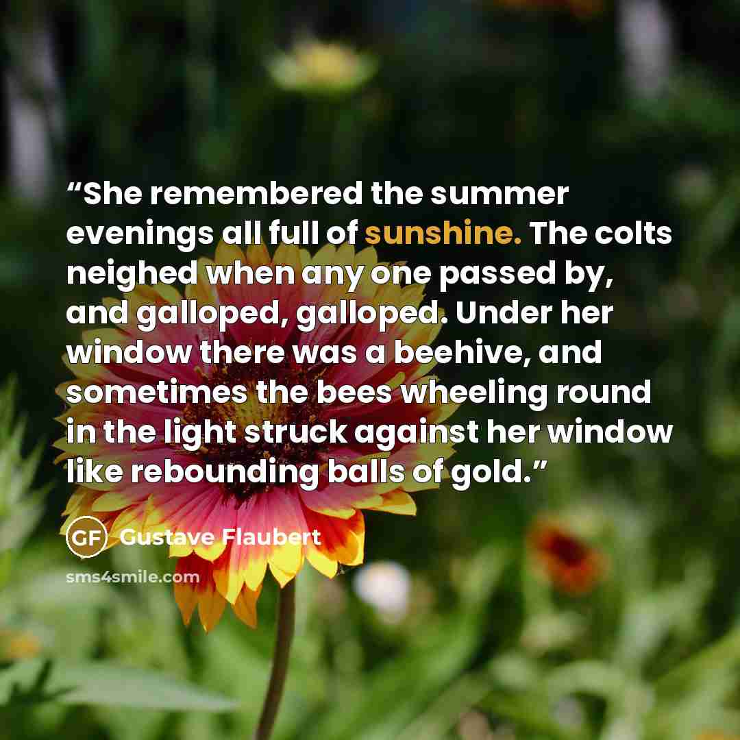 “She remembered the summer evenings all full of sunshine. The colts neighed when any one passed by, and galloped, galloped. Under her window there was a beehive, and sometimes the bees wheeling round in the light struck against her window like rebounding balls of gold.” quote by Gustave Flaubert