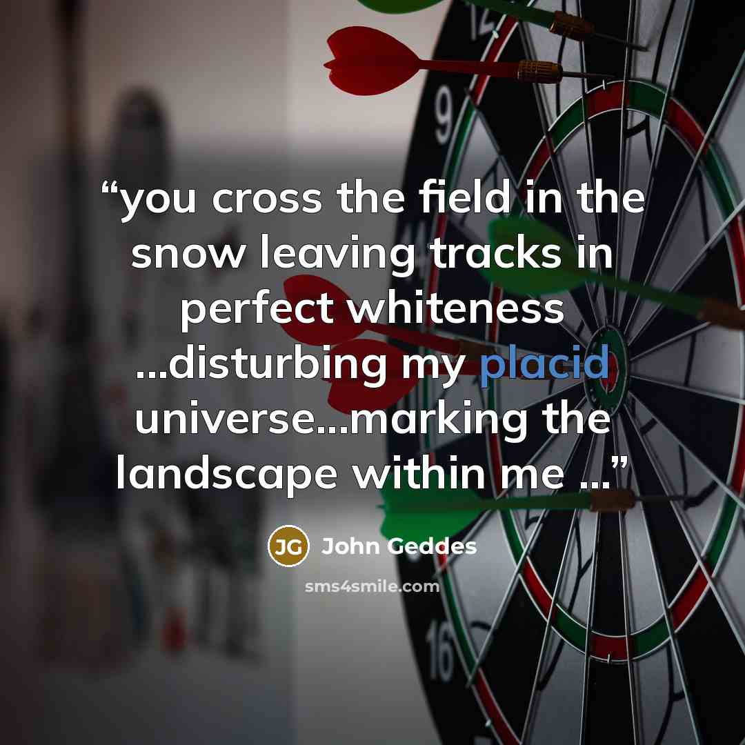 “you cross the field in the snow leaving tracks in perfect whiteness ...disturbing my placid universe...marking the landscape within me ...” quote by John Geddes