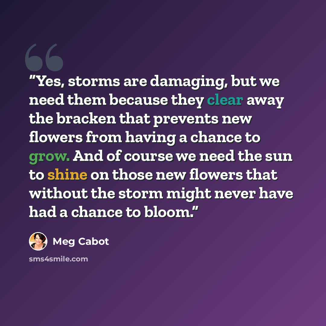 “Yes, storms are damaging, but we need them because they clear away the bracken that prevents new flowers from having a chance to grow. And of course we need the sun to shine on those new flowers that without the storm might never have had a chance to bloom.” quote by Meg Cabot