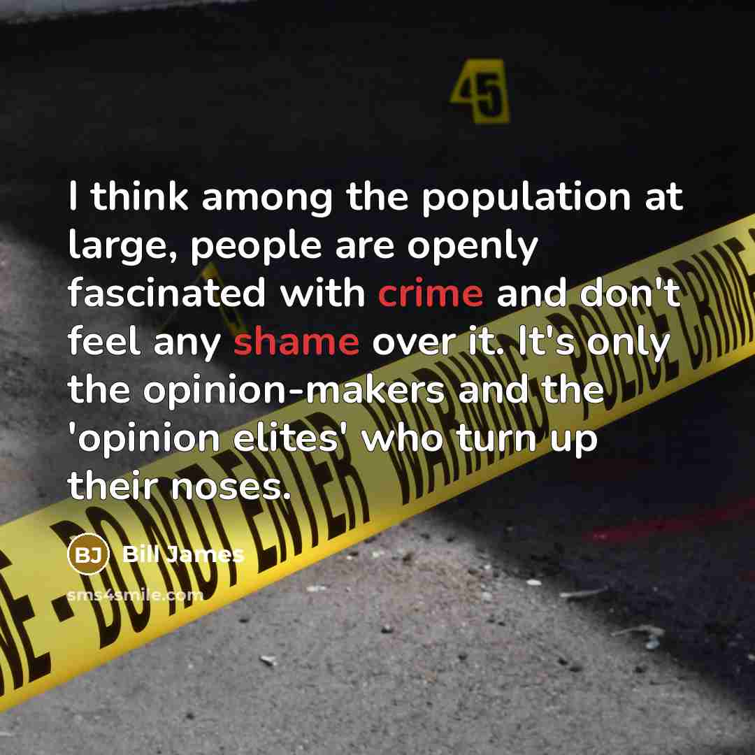 “I think among the population at large, people are openly fascinated with crime and don't feel any shame over it. It's only the opinion-makers and the 'opinion elites' who turn up their noses.” quote by Bill James