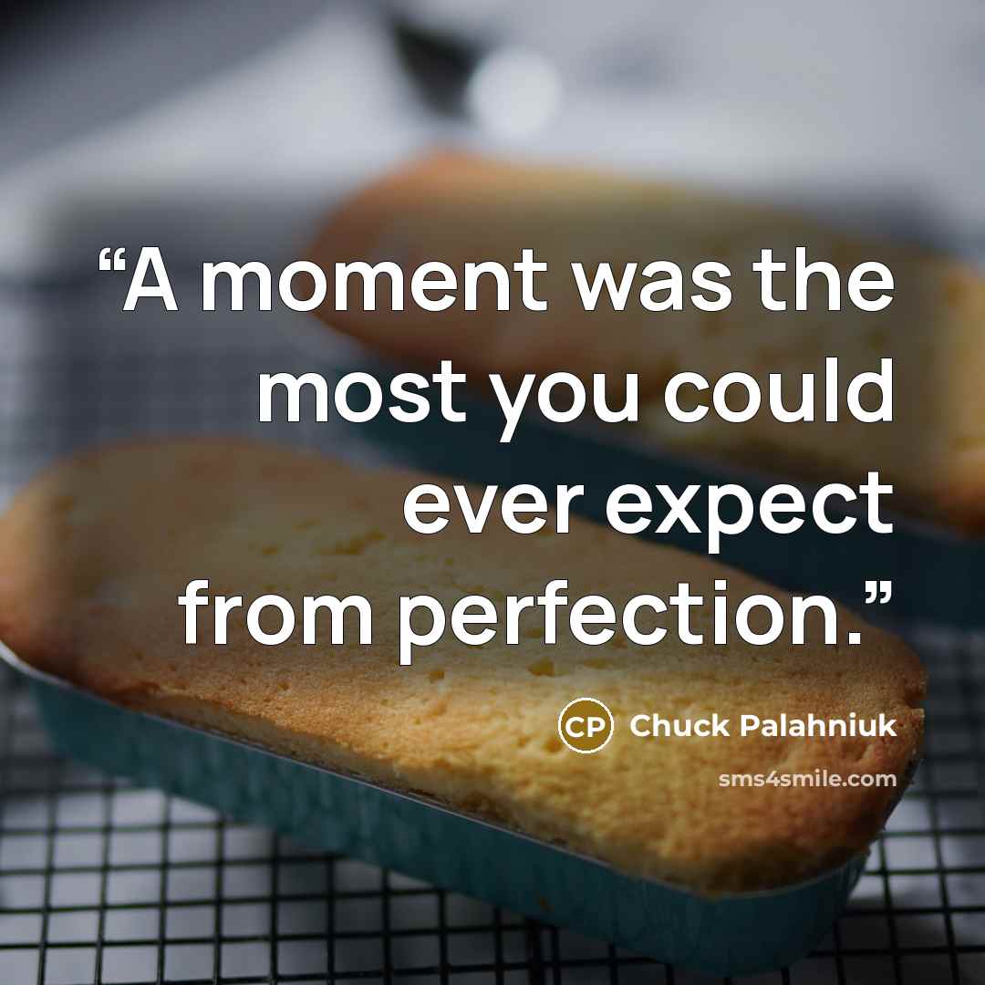 “A moment was the most you could ever expect from perfection.” quote by Chuck Palahniuk
