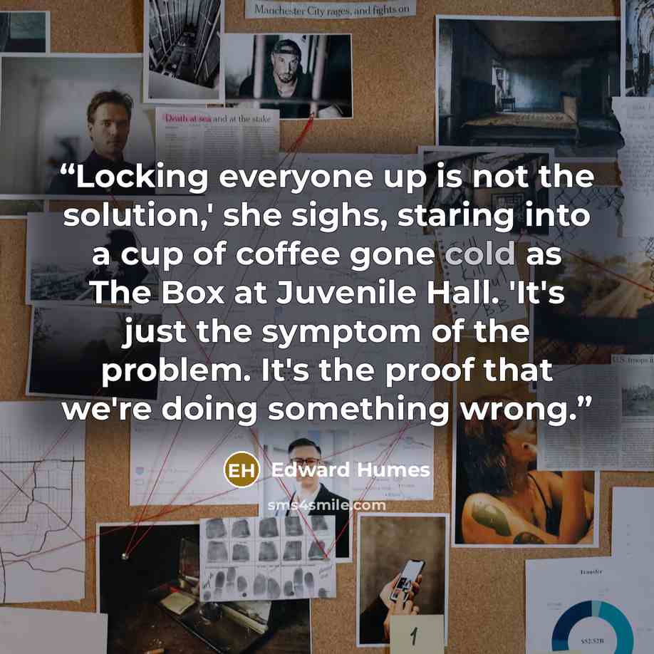 “Locking everyone up is not the solution,' she sighs, staring into a cup of coffee gone cold as The Box at Juvenile Hall. 'It's just the symptom of the problem. It's the proof that we're doing something wrong.” quote by Edward Humes