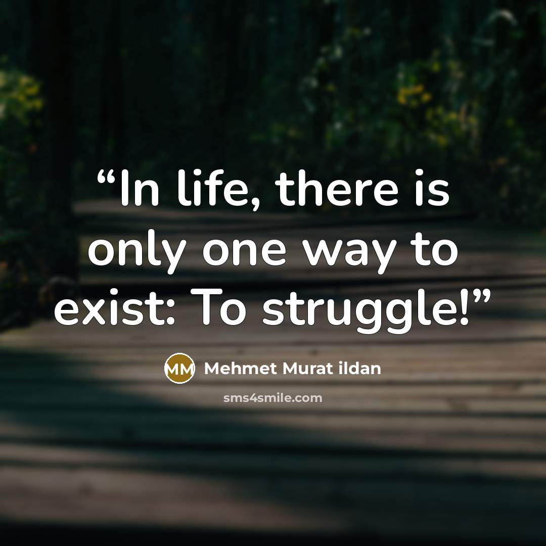 “In life, there is only one way to exist: To struggle!” quote by Mehmet Murat ildan