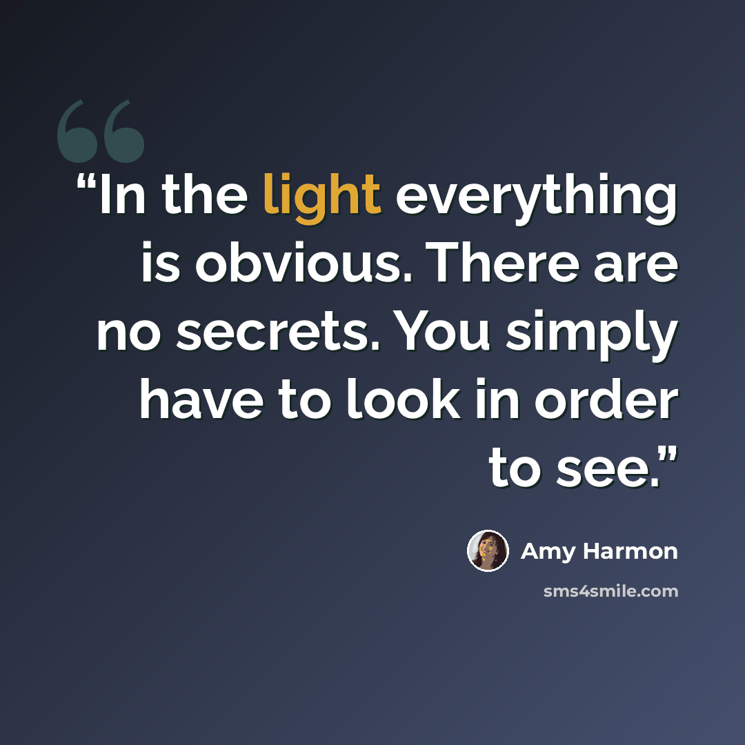 “In the light everything is obvious. There are no secrets. You simply have to look in order to see.” quote by Amy Harmon