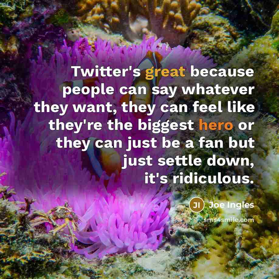 “Twitter's great because people can say whatever they want, they can feel like they're the biggest hero or they can just be a fan but just settle down, it's ridiculous.” quote by Joe Ingles
