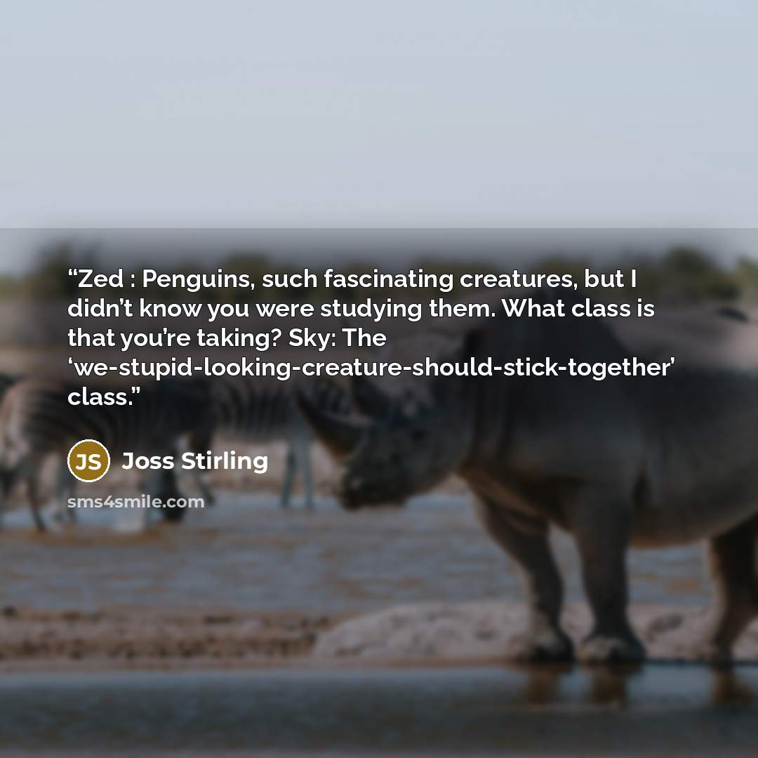 “Zed : Penguins, such fascinating creatures, but I didn’t know you were studying them. What class is that you’re taking? Sky: The ‘we-stupid-looking-creature-should-stick-together’ class.” quote by Joss stirling