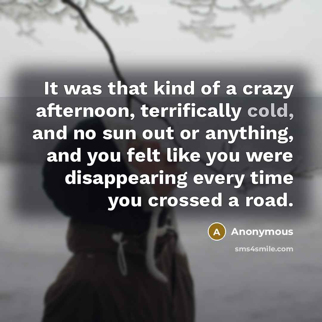 “It was that kind of a crazy afternoon, terrifically cold, and no sun out or anything, and you felt like you were disappearing every time you crossed a road.” quote by Anonymous