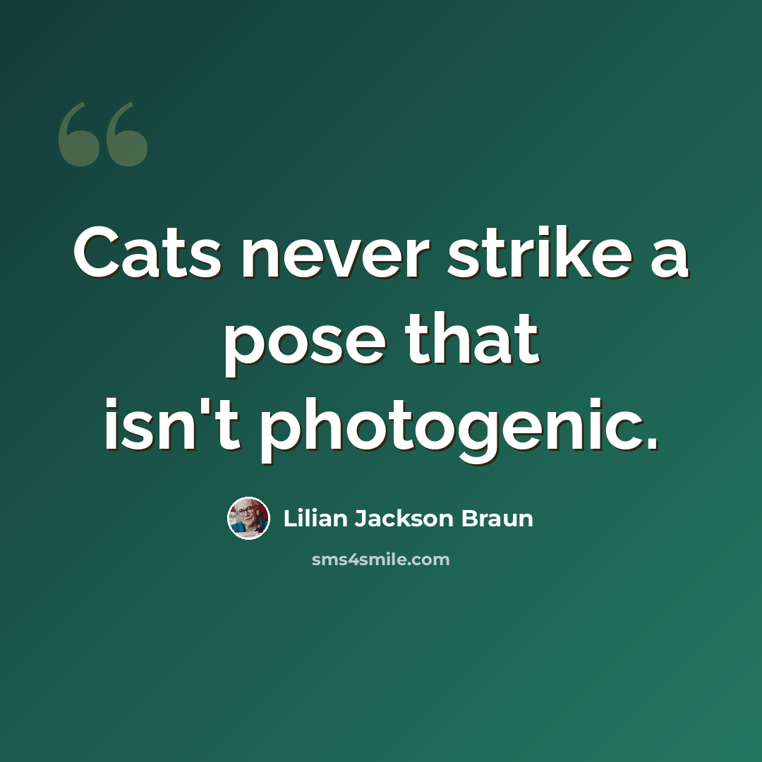 “Cats never strike a pose that isn't photogenic.” quote by Lilian Jackson Braun