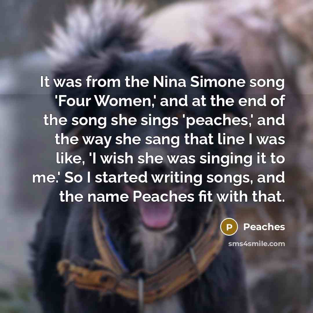 “It was from the Nina Simone song 'Four Women,' and at the end of the song she sings 'peaches,' and the way she sang that line I was like, 'I wish she was singing it to me.' So I started writing songs, and the name Peaches fit with that.” quote by Peaches