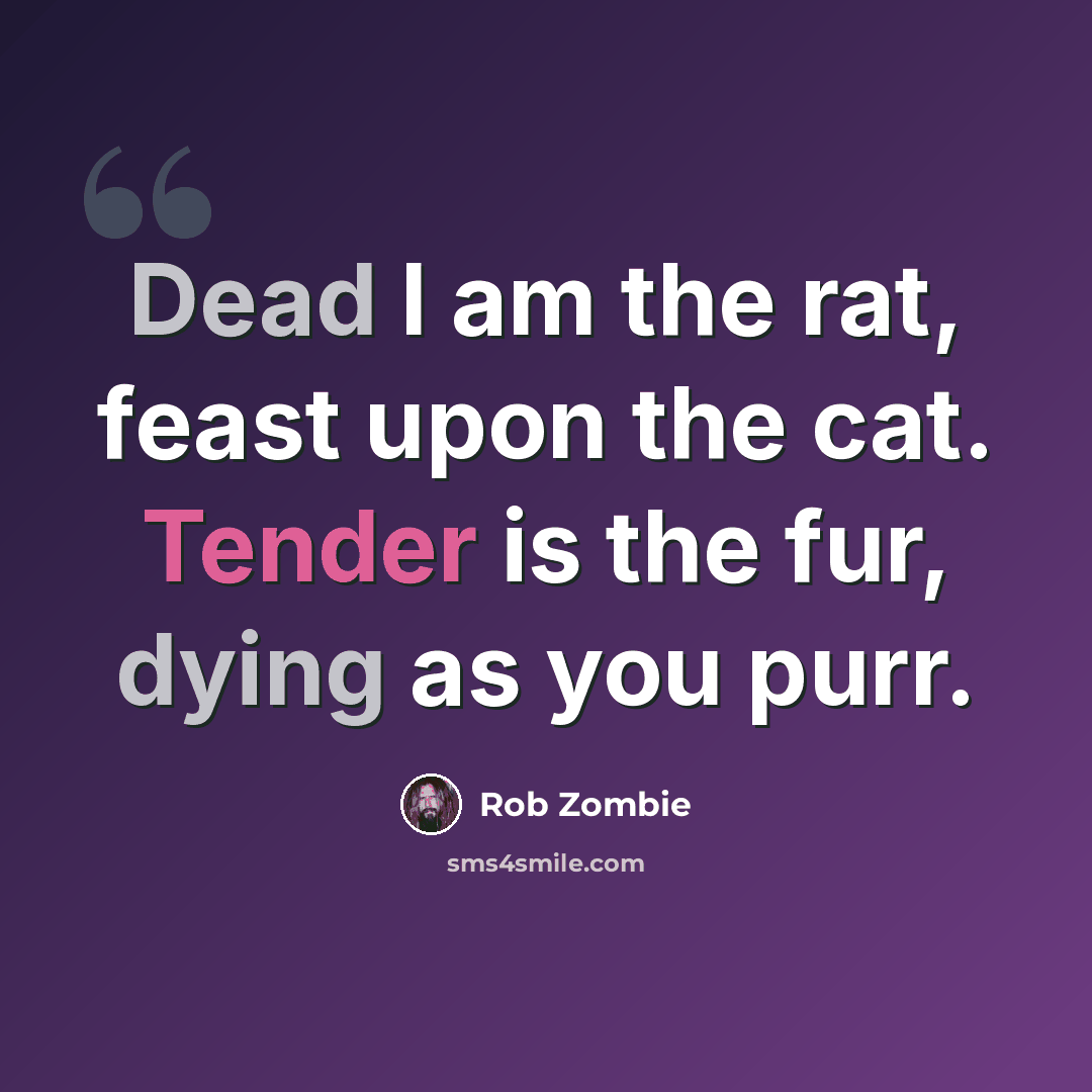 “Dead I am the rat, feast upon the cat. Tender is the fur, dying as you purr.” quote by Rob Zombie