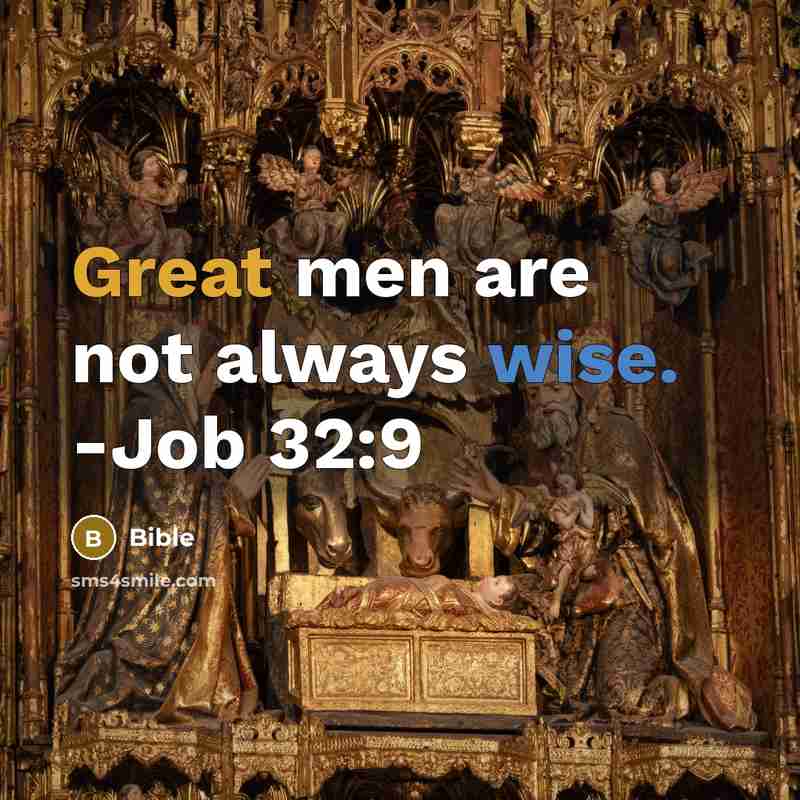 “Great men are not always wise. -Job 32:9” quote by Bible