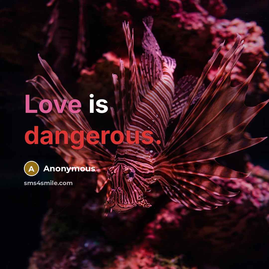 “Love is dangerous.” quote by Anonymous