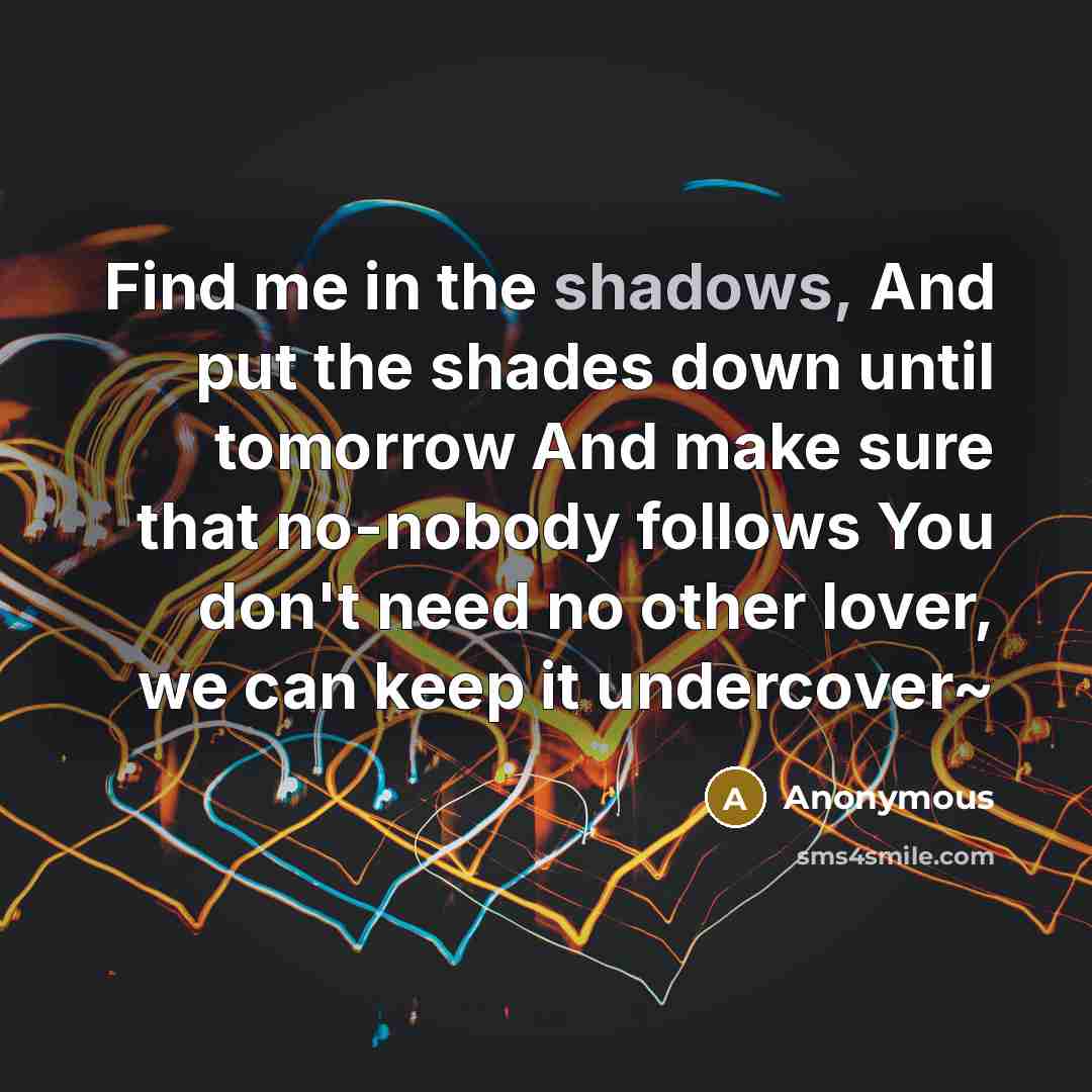 “Find me in the shadows, And put the shades down until tomorrow And make sure that no-nobody follows You don't need no other lover, we can keep it undercover~” quote by Anonymous