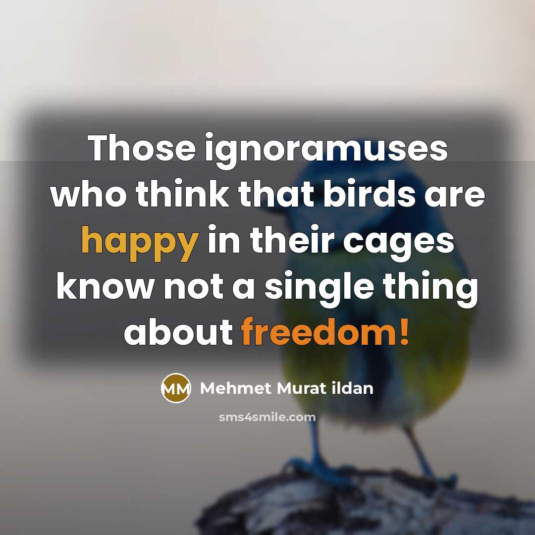 “Those ignoramuses who think that birds are happy in their cages know not a single thing about freedom!” quote by Mehmet Murat Ildan