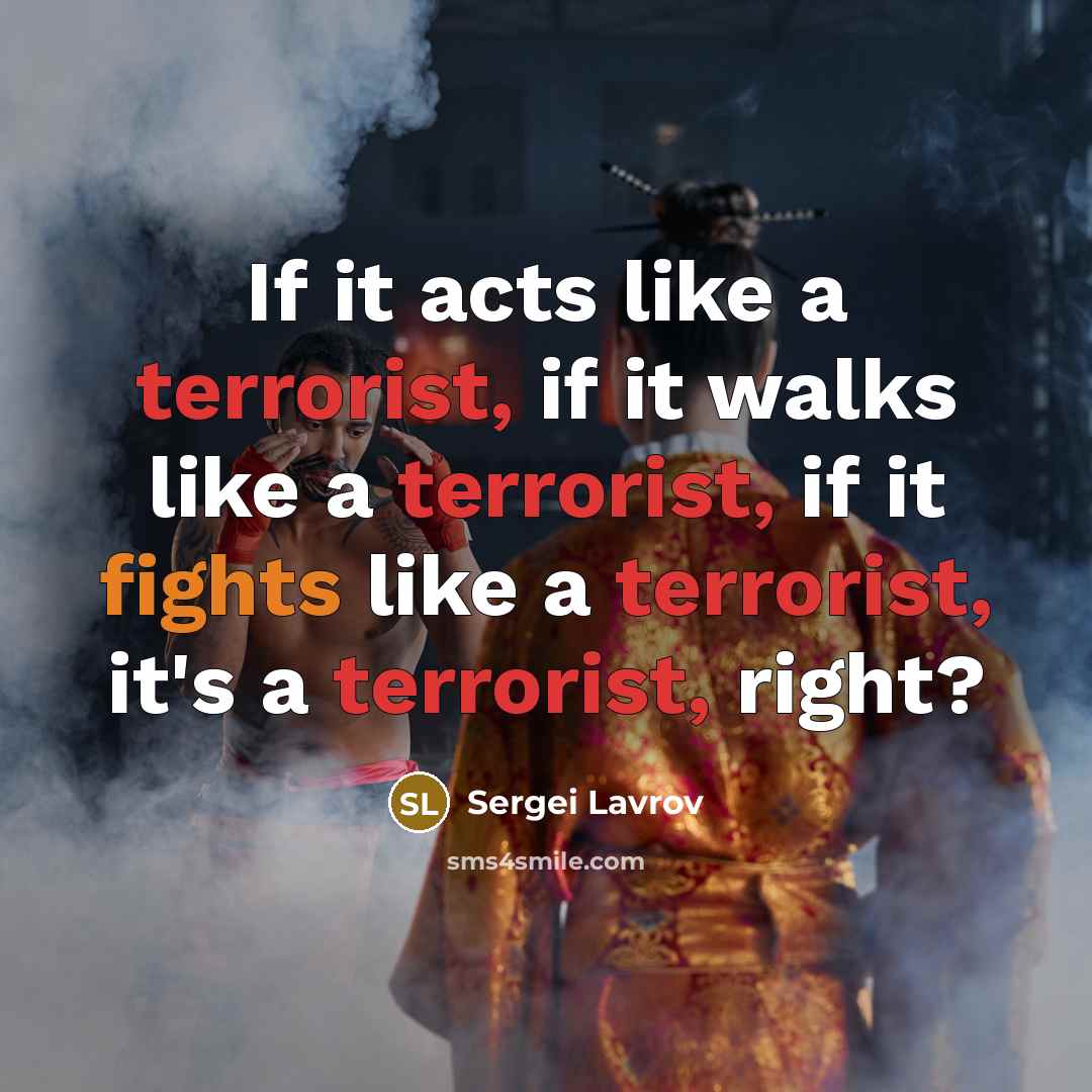 “If it acts like a terrorist, if it walks like a terrorist, if it fights like a terrorist, it's a terrorist, right?” quote by Sergei Lavrov