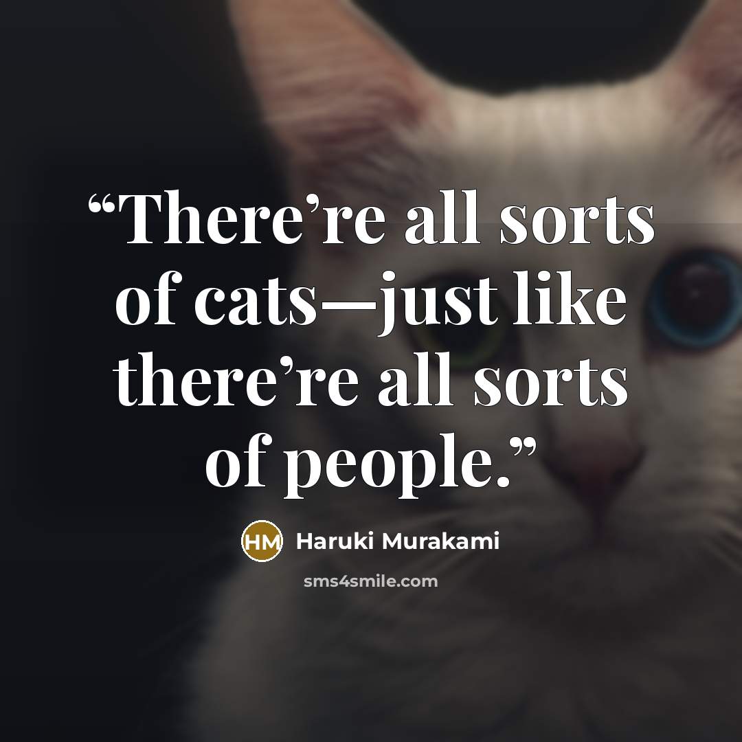“There’re all sorts of cats—just like there’re all sorts of people.” quote by Haruki Murakami