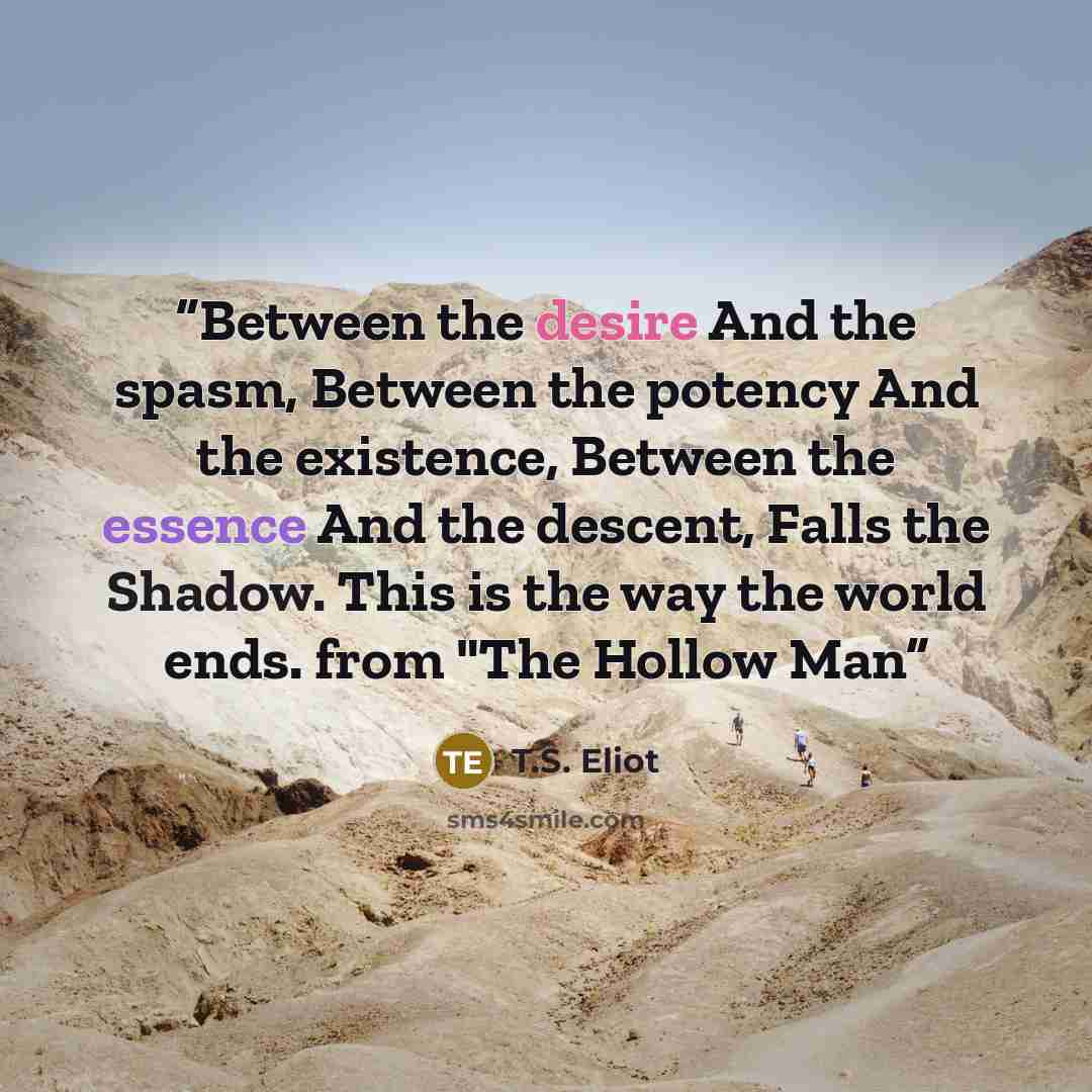 “Between the desire And the spasm, Between the potency And the existence, Between the essence And the descent, Falls the Shadow. This is the way the world ends. from "The Hollow Man” quote by T.S. Eliot