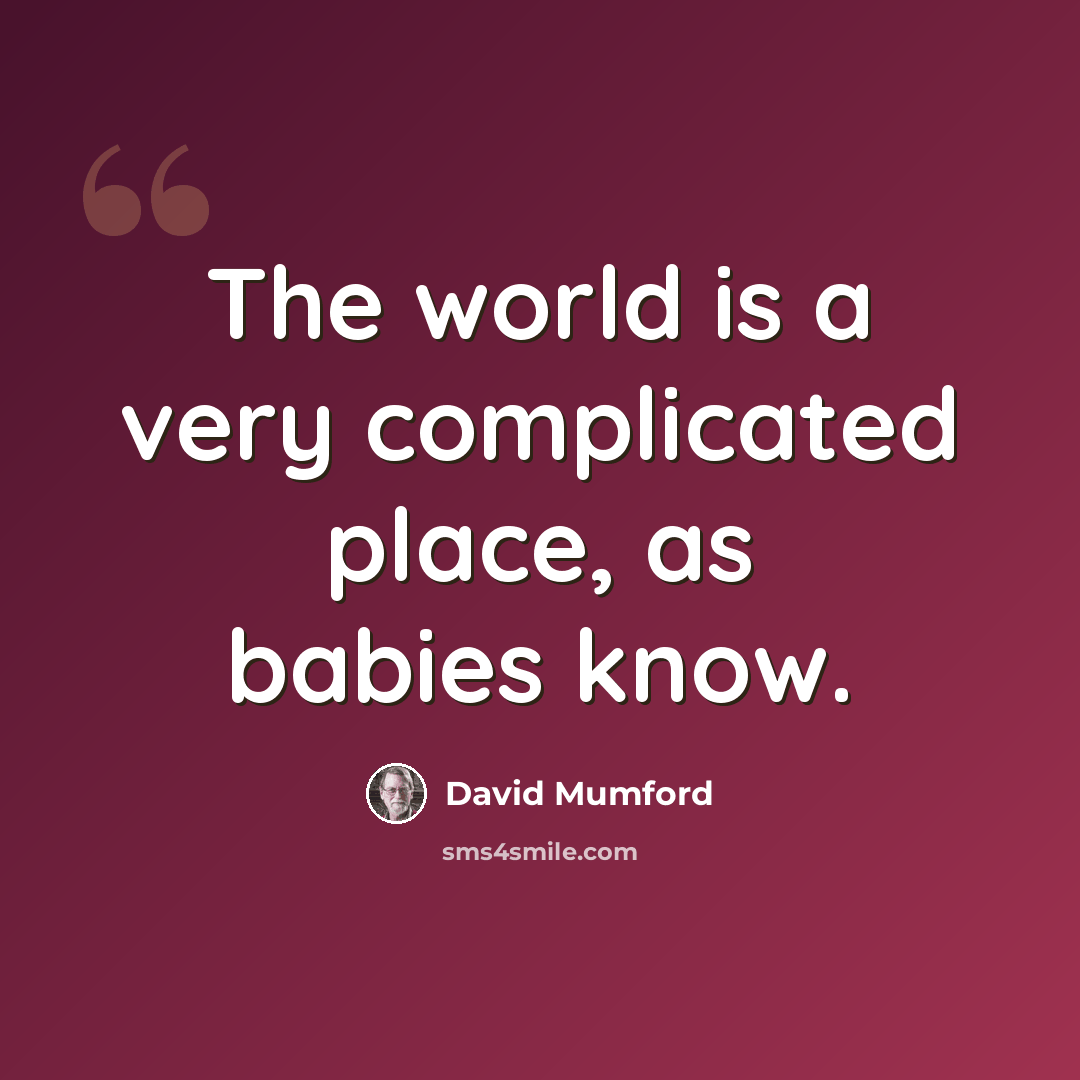 “The world is a very complicated place, as babies know.” quote by David Mumford