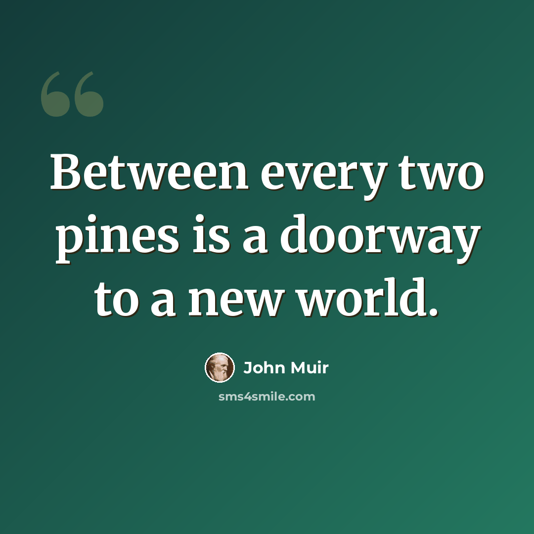 “Between every two pines is a doorway to a new world.” quote by John Muir