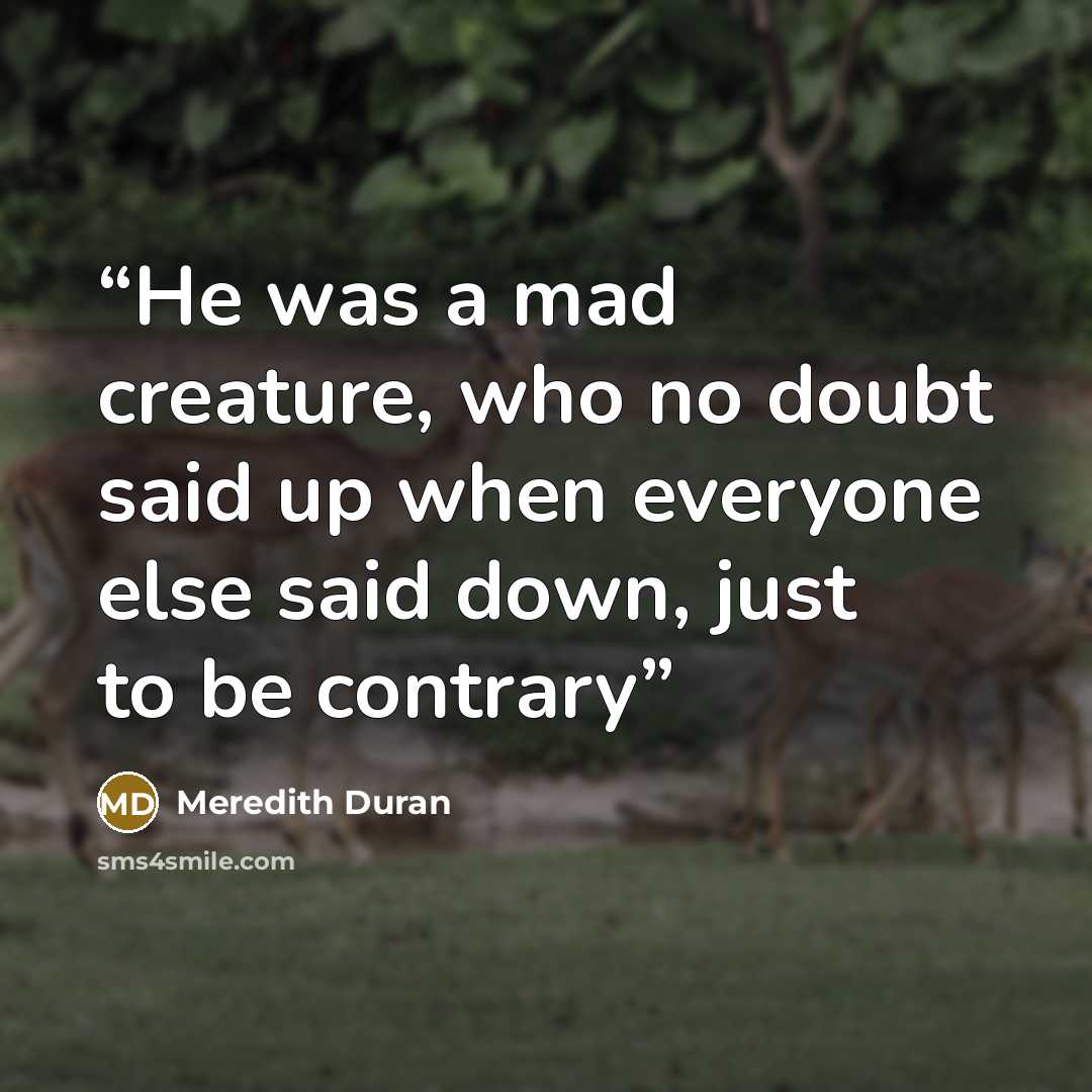 “He was a mad creature, who no doubt said up when everyone else said down, just to be contrary” quote by Meredith Duran