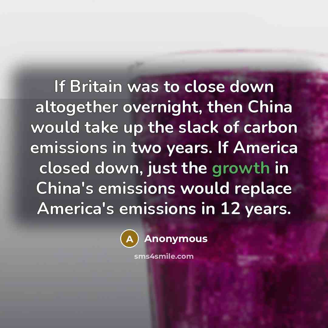 “If Britain was to close down altogether overnight, then China would take up the slack of carbon emissions in two years. If America closed down, just the growth in China's emissions would replace America's emissions in 12 years.” quote by Anonymous