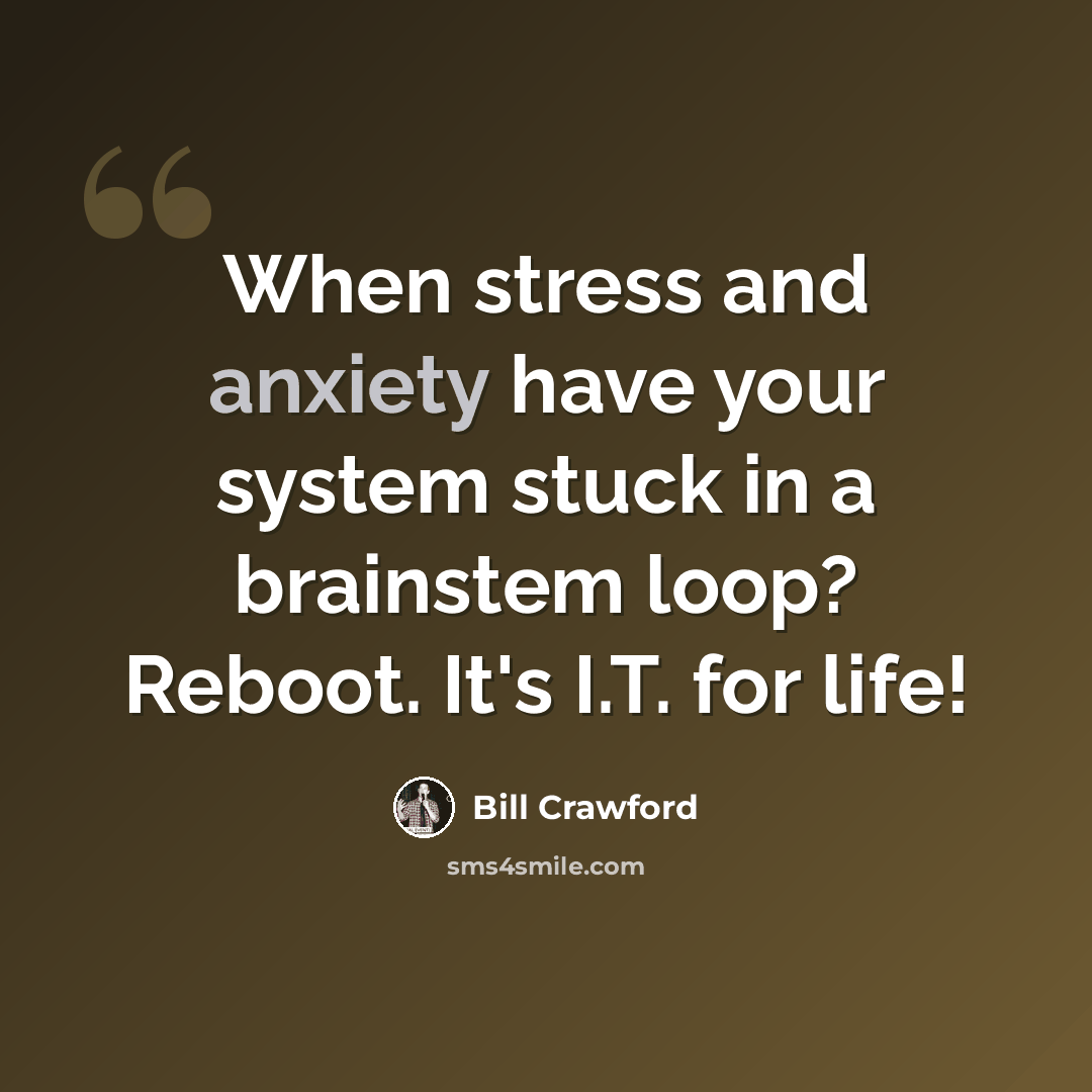 “When stress and anxiety have your system stuck in a brainstem loop? Reboot. It's I.T. for life!” quote by Bill Crawford