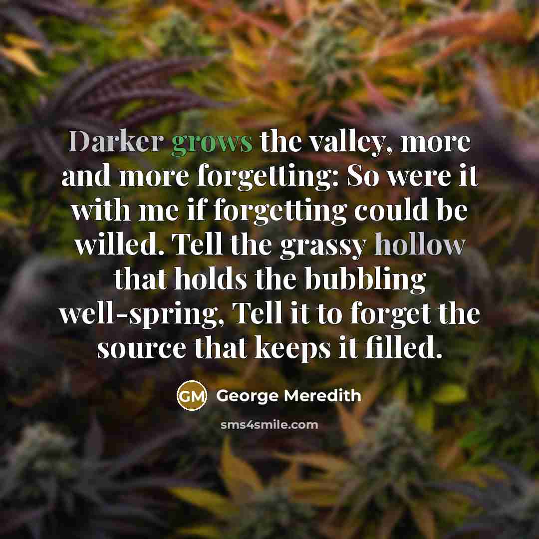 “Darker grows the valley, more and more forgetting: So were it with me if forgetting could be willed. Tell the grassy hollow that holds the bubbling well-spring, Tell it to forget the source that keeps it filled.” quote by George Meredith