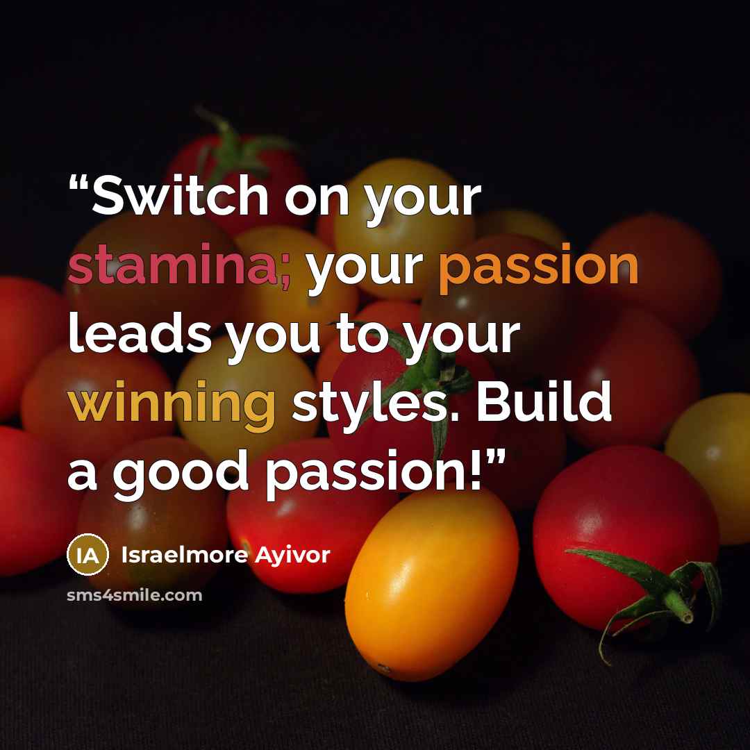 “Switch on your stamina; your passion leads you to your winning styles. Build a good passion!” quote by Israelmore Ayivor
