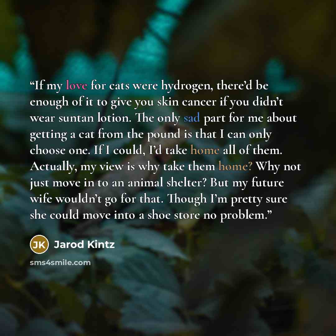 “If my love for cats were hydrogen, there’d be enough of it to give you skin cancer if you didn’t wear suntan lotion. The only sad part for me about getting a cat from the pound is that I can only choose one. If I could, I’d take home all of them. Actually, my view is why take them home? Why not…” quote by Jarod Kintz
