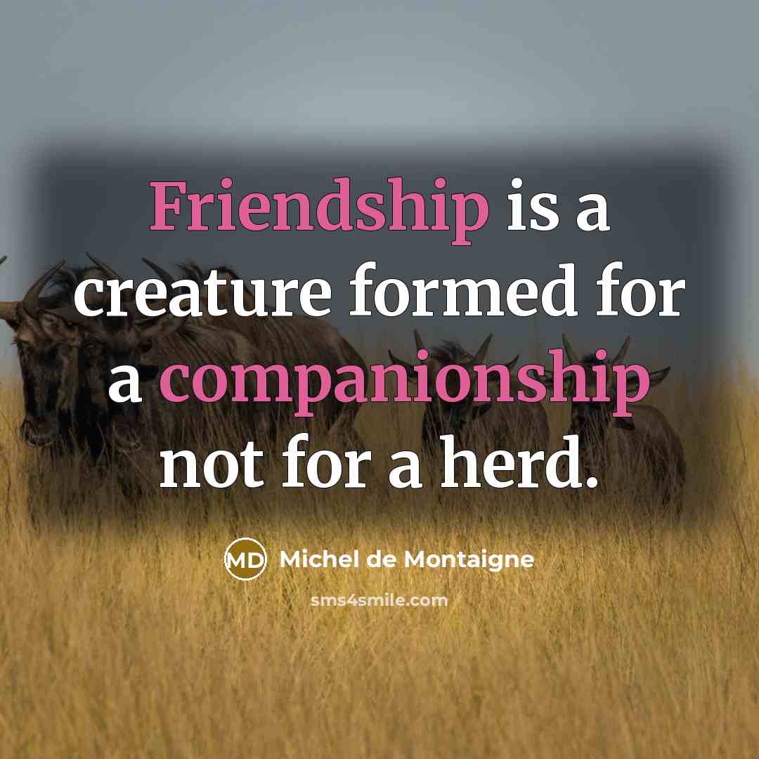 “Friendship is a creature formed for a companionship not for a herd.” quote by Michel de Montaigne