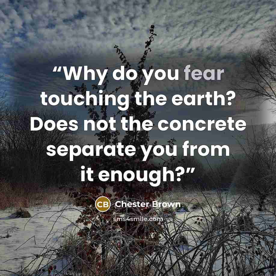 “Why do you fear touching the earth? Does not the concrete separate you from it enough?” quote by Chester Brown