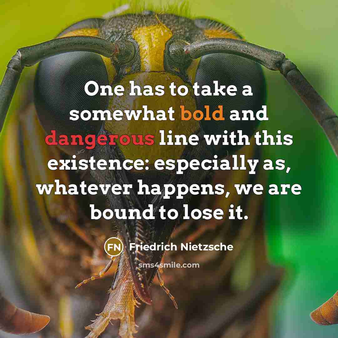 “One has to take a somewhat bold and dangerous line with this existence: especially as, whatever happens, we are bound to lose it.” quote by Friedrich Nietzsche