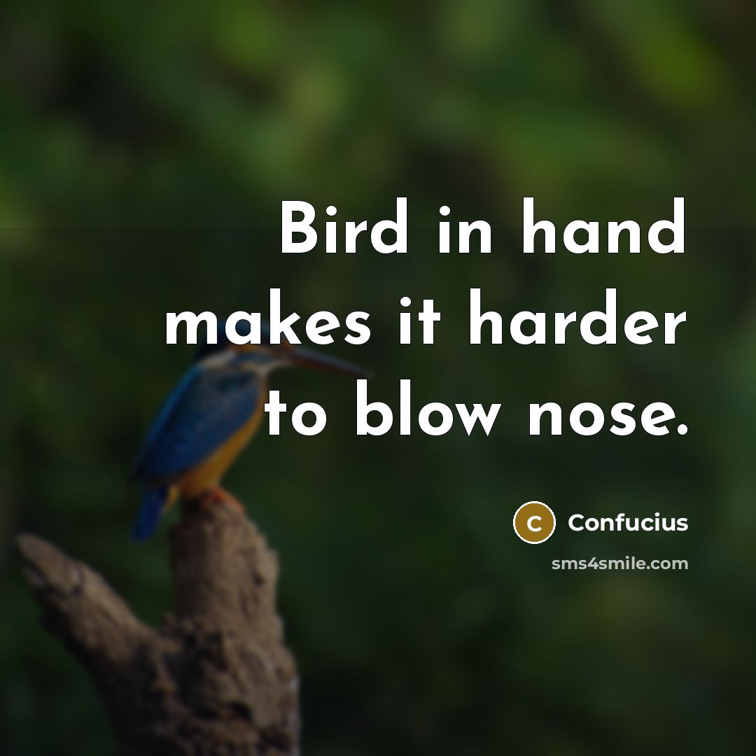 “Bird in hand makes it harder to blow nose.” quote by Confucius