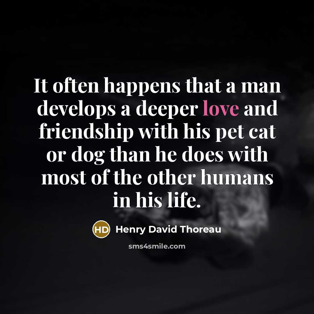 “It often happens that a man develops a deeper love and friendship with his pet cat or dog than he does with most of the other humans in his life.” quote by Henry David Thoreau