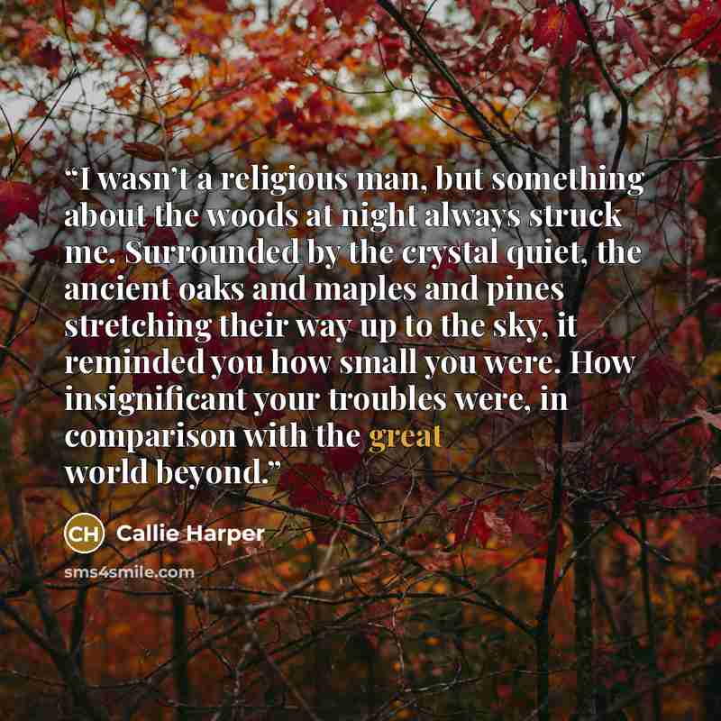 “I wasn’t a religious man, but something about the woods at night always struck me. Surrounded by the crystal quiet, the ancient oaks and maples and pines stretching their way up to the sky, it reminded you how small you were. How insignificant your troubles were, in comparison with the great world…” quote by Callie Harper