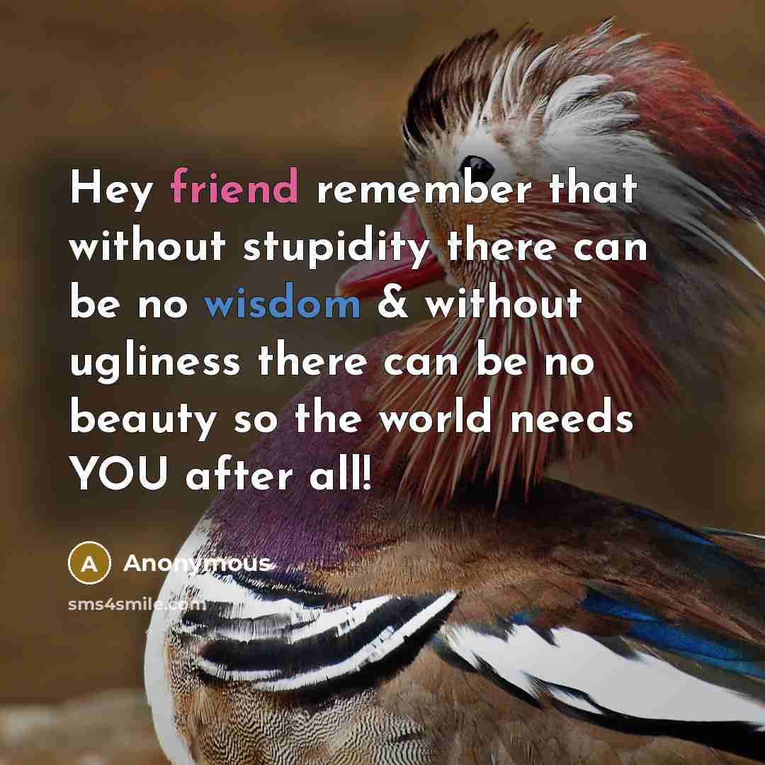 “Hey friend remember that without stupidity there can be no wisdom & without ugliness there can be no beauty so the world needs YOU after all!” quote by Anonymous