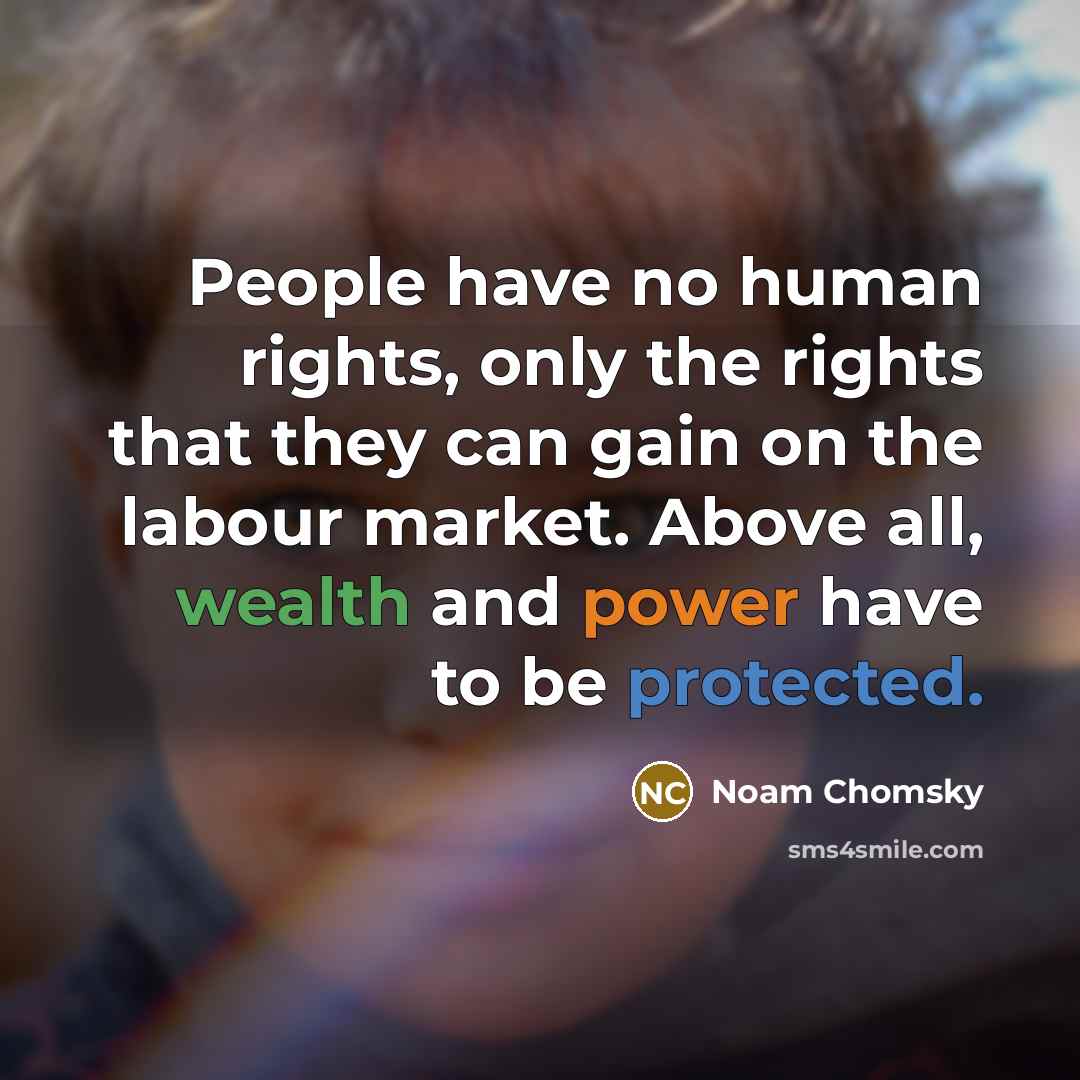 “People have no human rights, only the rights that they can gain on the labour market. Above all, wealth and power have to be protected.” quote by Noam Chomsky