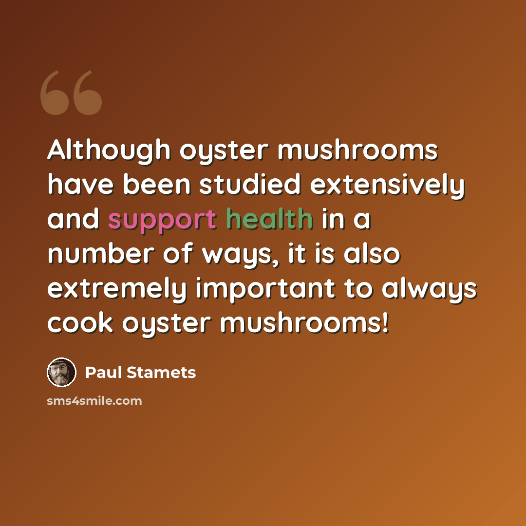 “Although oyster mushrooms have been studied extensively and support health in a number of ways, it is also extremely important to always cook oyster mushrooms!” quote by Paul Stamets