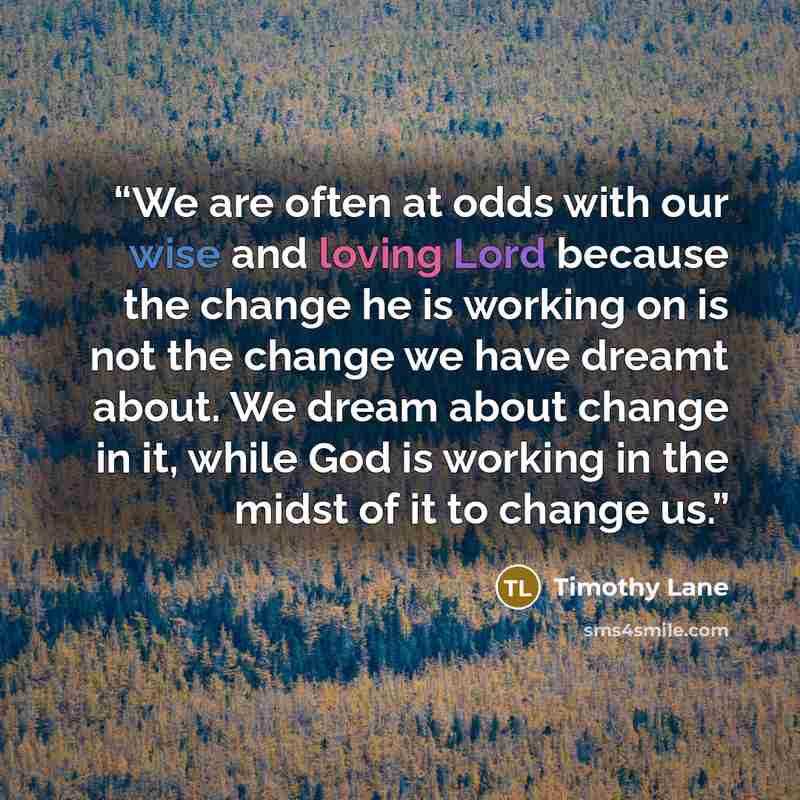 “We are often at odds with our wise and loving Lord because the change he is working on is not the change we have dreamt about. We dream about change in it, while God is working in the midst of it to change us.” quote by Timothy Lane