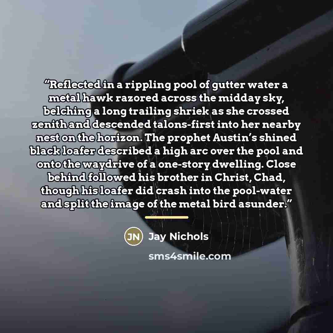 “Reflected in a rippling pool of gutter water a metal hawk razored across the midday sky, belching a long trailing shriek as she crossed zenith and descended talons-first into her nearby nest on the horizon. The prophet Austin’s shined black loafer described a high arc over the pool and onto the…” quote by Jay Nichols