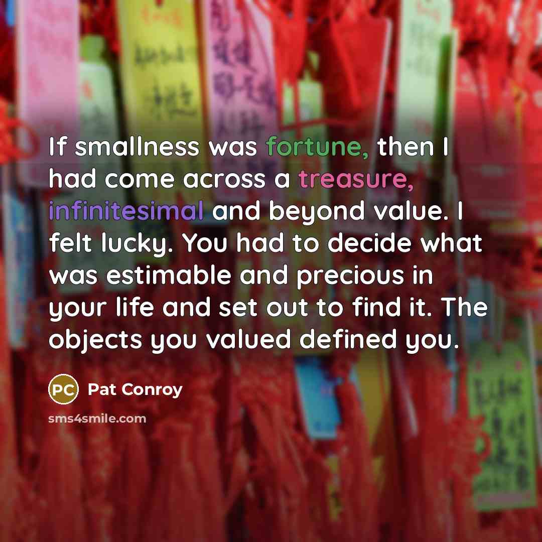 “If smallness was fortune, then I had come across a treasure, infinitesimal and beyond value. I felt lucky. You had to decide what was estimable and precious in your life and set out to find it. The objects you valued defined you.” quote by Pat Conroy