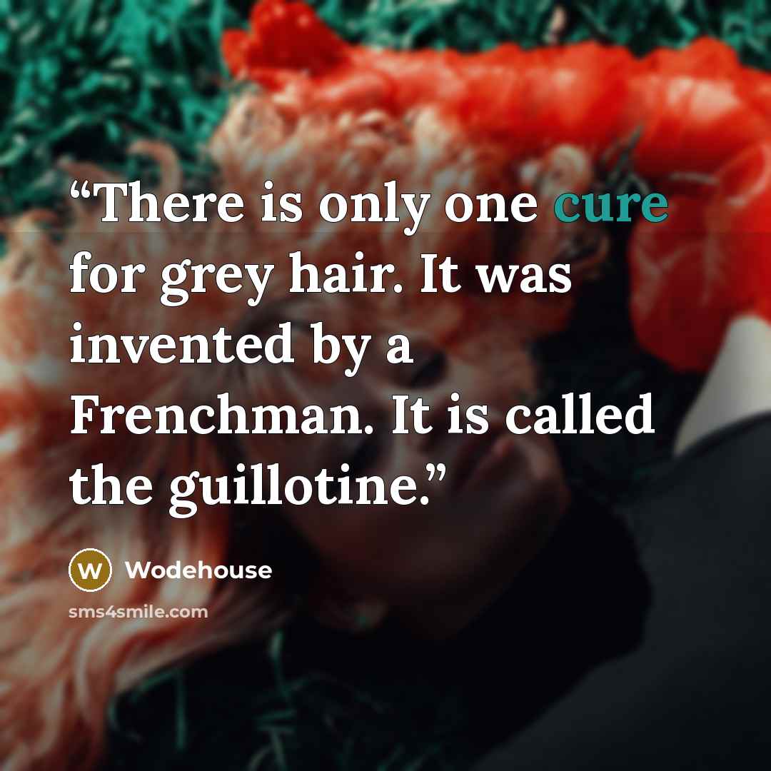 “There is only one cure for grey hair. It was invented by a Frenchman. It is called the guillotine.” quote by Wodehouse