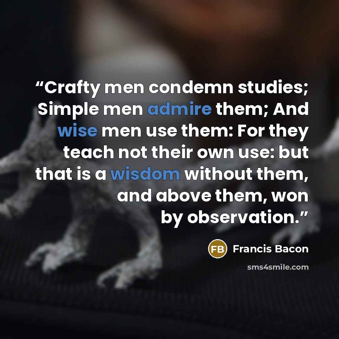 “Crafty men condemn studies; Simple men admire them; And wise men use them: For they teach not their own use: but that is a wisdom without them, and above them, won by observation.” quote by Francis Bacon
