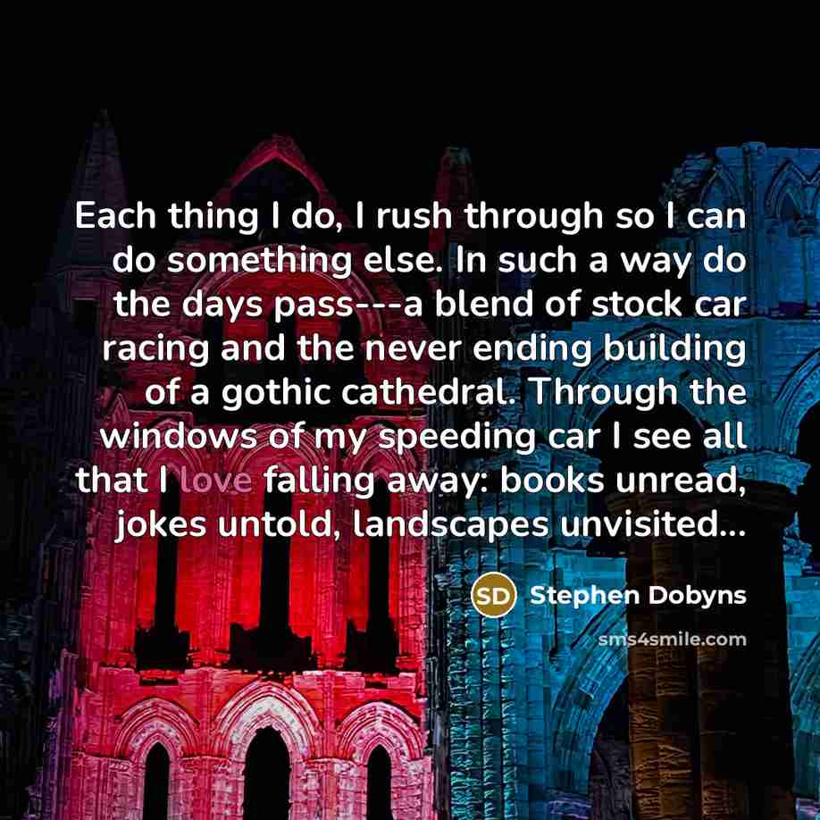 “Each thing I do, I rush through so I can do something else. In such a way do the days pass---a blend of stock car racing and the never ending building of a gothic cathedral. Through the windows of my speeding car I see all that I love falling away: books unread, jokes untold, landscapes unvisited...” quote by Stephen Dobyns