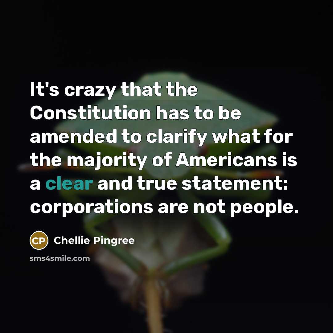 “It's crazy that the Constitution has to be amended to clarify what for the majority of Americans is a clear and true statement: corporations are not people.” quote by Chellie Pingree
