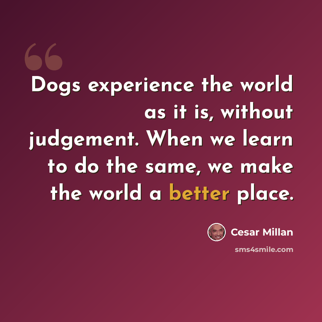 “Dogs experience the world as it is, without judgement. When we learn to do the same, we make the world a better place.” quote by Cesar Millan