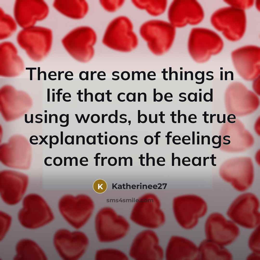 “There are some things in life that can be said using words, but the true explanations of feelings come from the heart” quote by Katherinee27