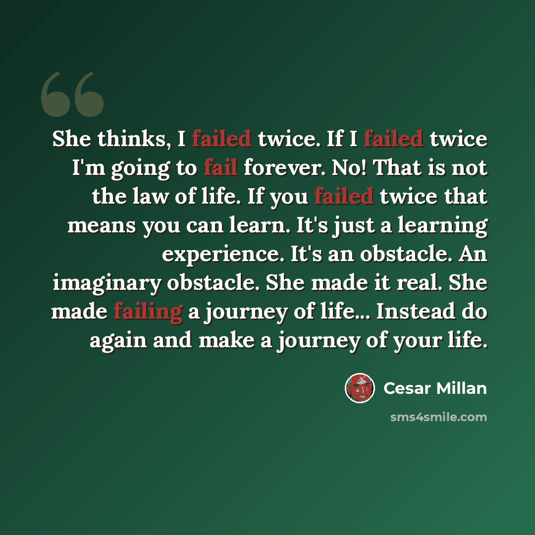“She thinks, I failed twice. If I failed twice I'm going to fail forever. No! That is not the law of life. If you failed twice that means you can learn. It's just a learning experience. It's an obstacle. An imaginary obstacle. She made it real. She made failing a journey of life... Instead do again…” quote by Cesar Millan